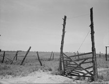 Abandoned land, exhausted soil, Carter County, Oklahoma, 1937. Creator: Dorothea Lange.