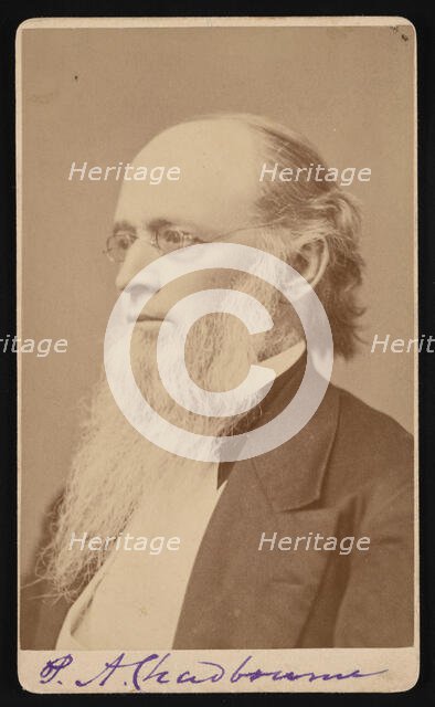 Portrait of Paul Ansel Chadbourne (1823-1883), Between 1872 and 1875. Creator: John Lyman Lovell.