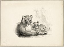 Lion with Cubs, 1831. Creator: Johann Höchle.