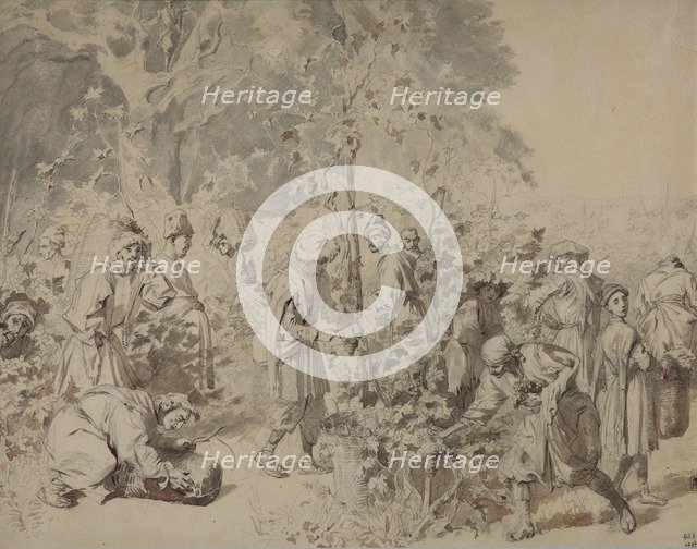 Grape harvesting, Between 1840 and 1847. Artist: Gagarin, Grigori Grigorievich (1810-1893)