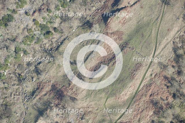 Romano-British enclosed settlement containing a hut circle, Whitcliffe Scar, North Yorkshire, 2014 Creator: Historic England Staff Photographer.