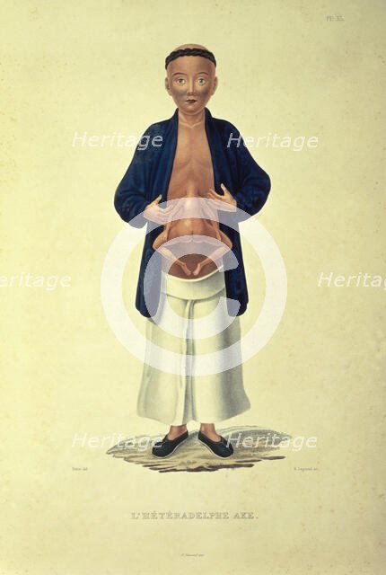 L'heteradelphe Ake, c1824-c1826. Creator: H Legrand.