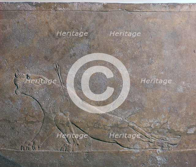 Assyrian relief of a wounded lioness from Ashurbanipal, 7th century. Artist: Unknown