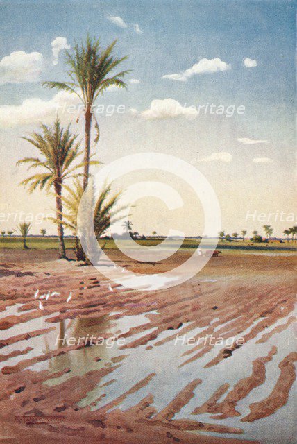 'An Irrigated Field', c1880, (1904). Artist: Robert George Talbot Kelly.