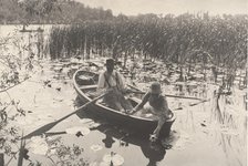 Gathering Water-Lilies, 1886. Creator: Dr Peter Henry Emerson.