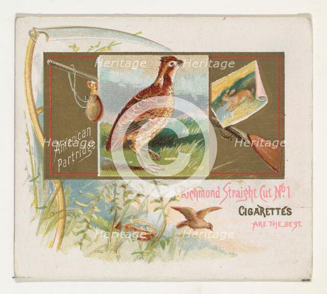 American Partridge, from the Game Birds series (N40) for Allen & Ginter Cigarettes, 1888-90. Creator: Allen & Ginter.