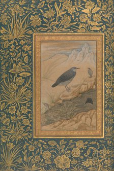 Diving Dipper and Other Birds, Folio from the Shah Jahan Album, recto: ca. 1610-15. Creator: Mansur.