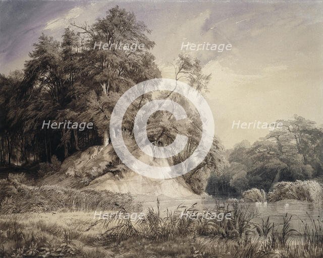 Forest Landscape with Lake and Swans, c1830-1834. Creator: Johann Wilhelm Schirmer.
