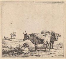 Cow, Bull and Calf. Creator: Karel Du Jardin.