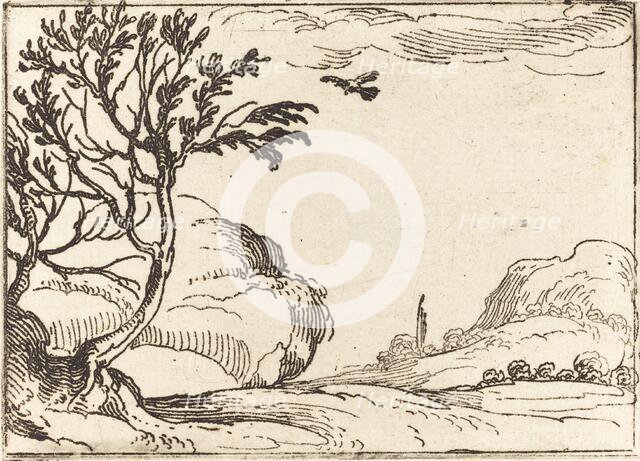 Turtle Dove Flying in the Desert. Creator: Jacques Callot.