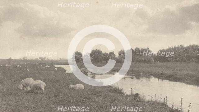On the River Bure, 1886. Creator: Dr Peter Henry Emerson.