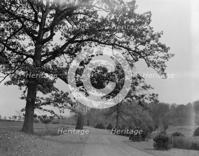 A Drive in Forest Park, Springfield, Mass., between 1910 and 1920. Creator: Unknown.