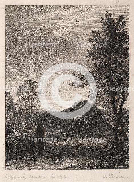 The Skylark, 1850. Creator: Samuel Palmer (British, 1805-1881).