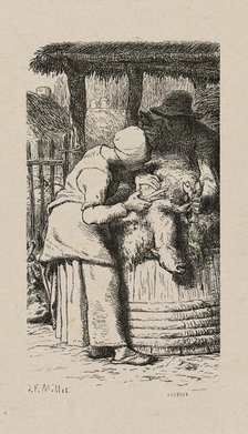 Woman Shearing Sheep, 1853, after drawing made in 1852. Creator: Jacques-Adrien Lavieille.