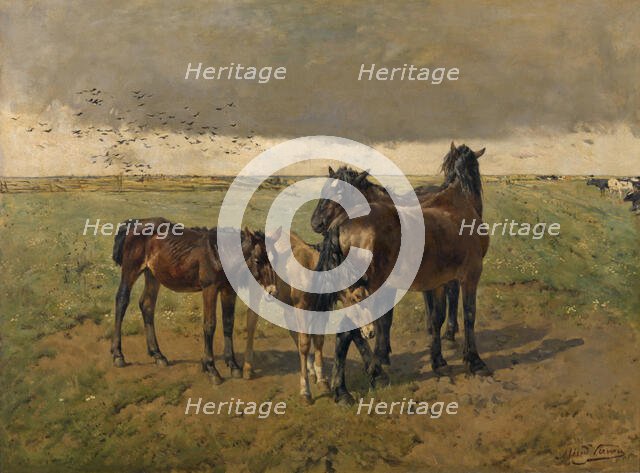 Foals in the Paddock, mid-late 19th century. Creator: Alfred Verwee.