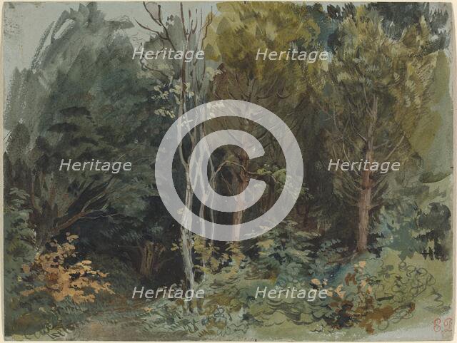 The Edge of a Wood at Nohant, c. 1842/1843. Creator: Eugene Delacroix.