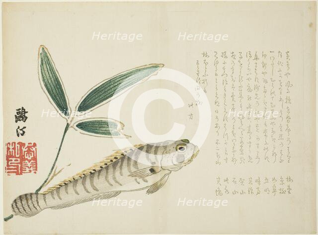 Fish and Bamboo, Japan, 1860s. Creator: Maezawa Otei.
