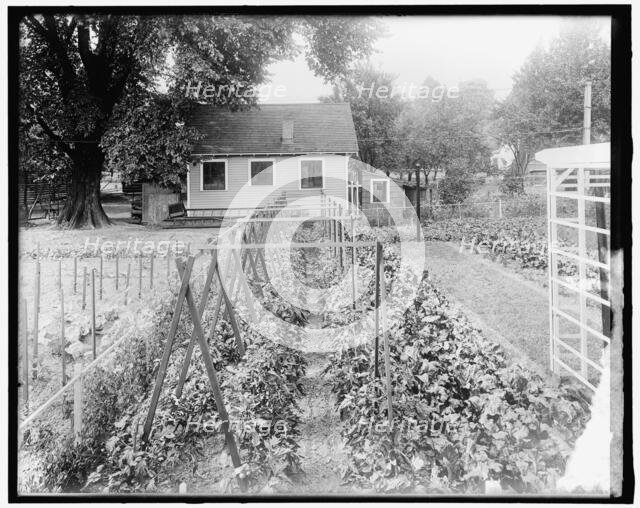 War Garden Commission, between 1910 and 1920. Creator: Harris & Ewing.