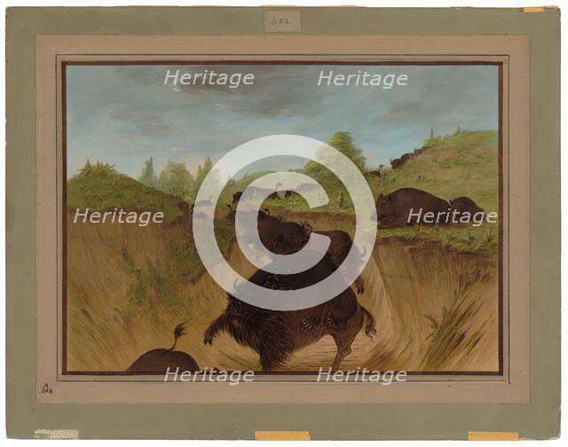 Grizzly Bears Attacking Buffalo, 1861/1869. Creator: George Catlin.