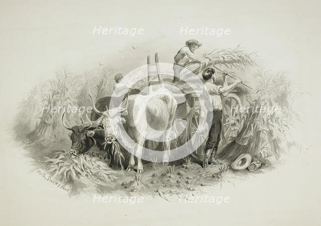 Haying Scene, 19th century. Creator: Felix Octavius Carr Darley.