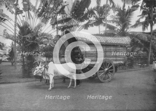 'A Ceylon Bullock Cart', c1890, (1910). Artist: Alfred William Amandus Plate.