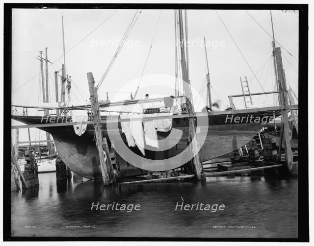 Minerva, profile, between 1880 and 1899. Creator: Unknown.