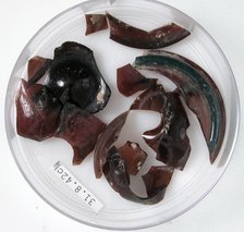 Glass Fragments, Coptic, 4th century. Creator: Unknown.