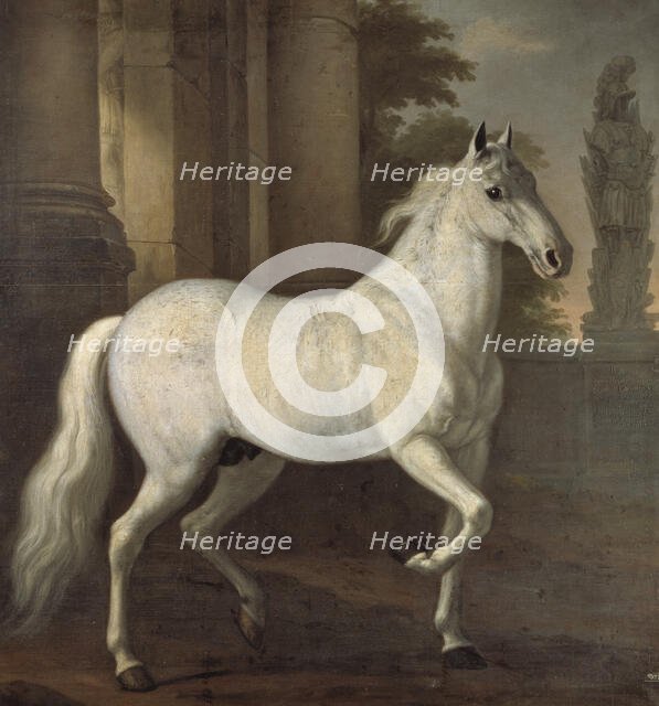 Charles XI's favourite horse Brilliant, 1680. Creator: David Klocker Ehrenstrahl.
