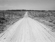 Road leading to small farm in northern Oregon, Irrigon, Morrow County, Oregon, 1939. Creator: Dorothea Lange.