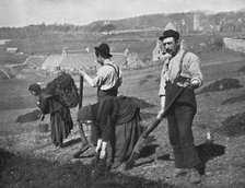 Planting potatoes in Skye, Scotland, 1912. Artist: GW Wilson.