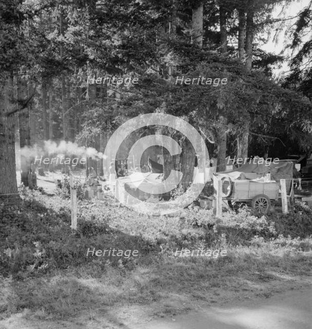Large private auto camp in woods at end of day, near West Stayton, Marion County, Oregon, 1939. Creator: Dorothea Lange.