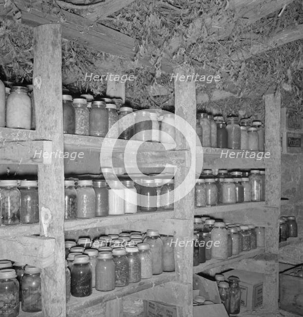 Mrs. Wardlow has 500 quarts of food in her dugout cellar, Dead Ox Flat, Malheur County, Oregon, 1939 Creator: Dorothea Lange.