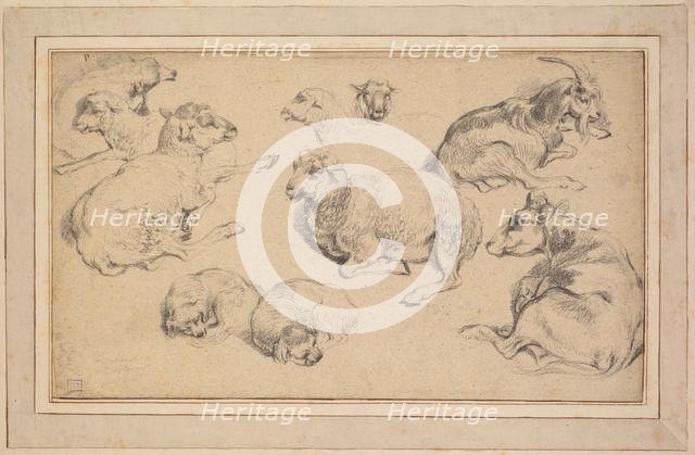 Sheet of Studies with Sheep, Goats, and Dogs, c. 1780. Creator: Jean-Baptiste Marie Hüet (French, 1745-1811).