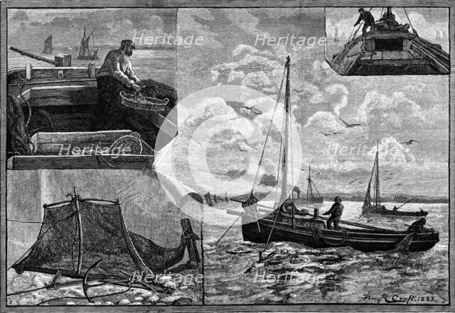 Our Fishing Industries: Whitebait Fishing, 1883. Creator: Unknown.