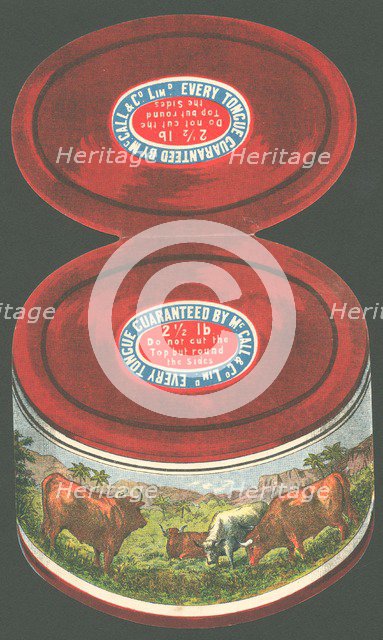 Paysandu ox tongue, 1890s. Artist: Unknown