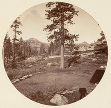 [Yosemite National Park, California], ca. 1878. Creator: Carleton Emmons Watkins.