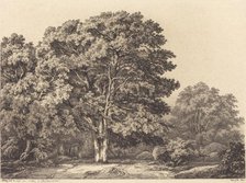 Entrance to a Forest, 1840. Creator: Eugene Blery.