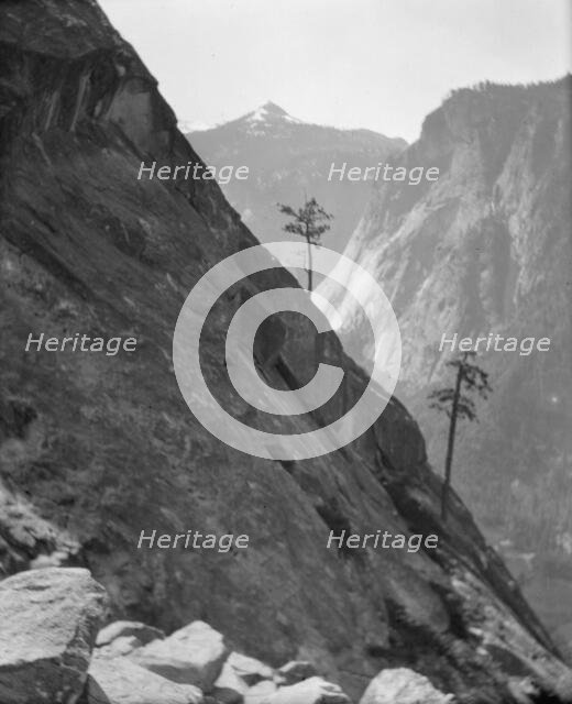 Travel views of Yosemite National Park, between 1903 and 1906. Creator: Arnold Genthe.