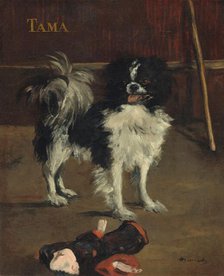 Tama, the Japanese Dog, c. 1875. Creator: Edouard Manet.