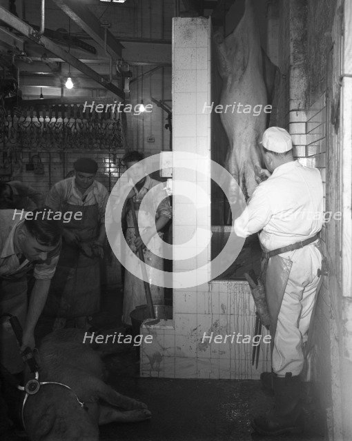 Butchery factory, Rawmarsh, South Yorkshire, 1955.  Artist: Michael Walters