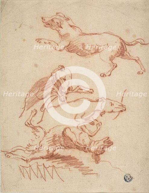 Sketches of Romping Dogs, n.d. Creator: Probably Abraham Hondius (Dutch, c. 1625-1695) or possibly Johann Elias Ridinger (German, 1698-1767) or possibly Jan Fyt (Flemish, 1611-1661).