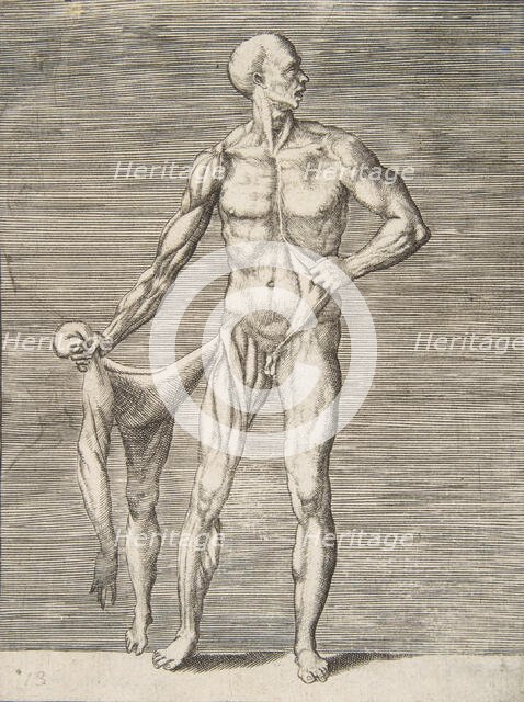 Man seen from the Front, holding the Skin of his right Arm and Leg in his right Ha..., 16th century. Creator: Giulio Bonasone.