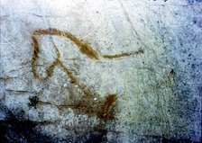 Horse in La Pileta Cave (Málaga), it's only shown the front of the animal, by the solid line prof…