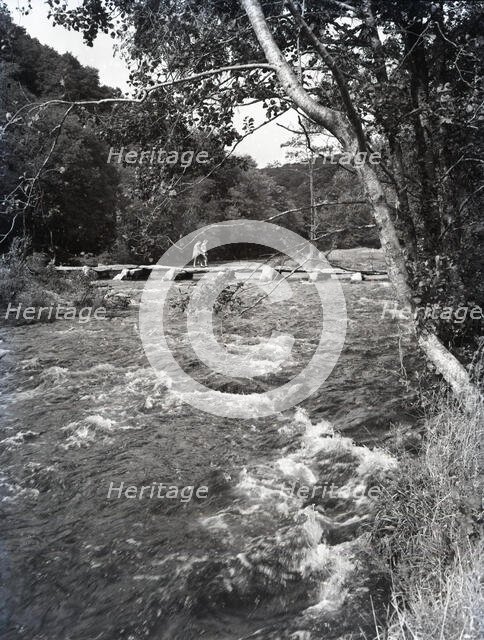 Tarr Steps, near Dulverton, Exmoor, Somerset, c1955. Creator: Arthur Charles Kirby Ware.