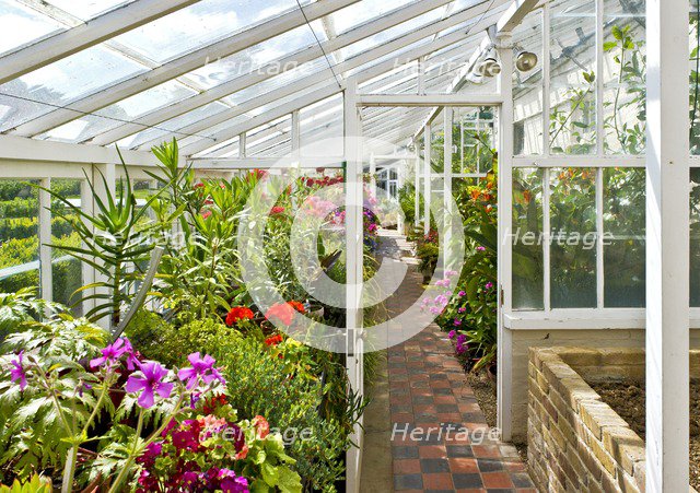 Interior of the greenhouse in the gardens of Walmer Castle, Kent, c1980-c2017. Artist: Historic England Staff Photographer.