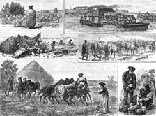 Sketches of Peasant Life in Hungary, 1883. Creator: William Michael Roberts Quick.