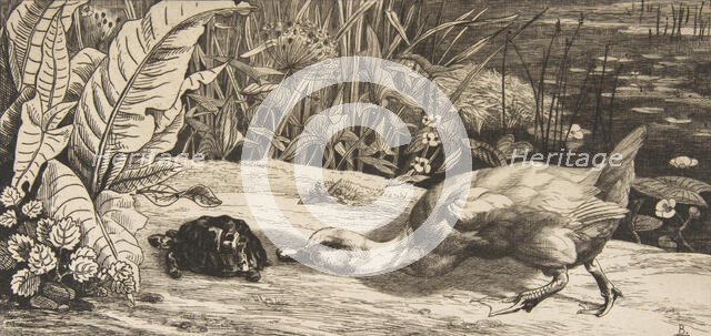 L'Inconnu, 1862. Creator: Felix Bracquemond.