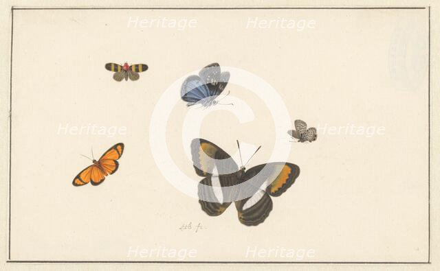 Five butterflies, c. 1677-c. 1726. Creator: Herman Henstenburgh.