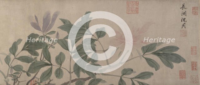 Flowers of the Four Seasons. Creator: Shen Zhou.