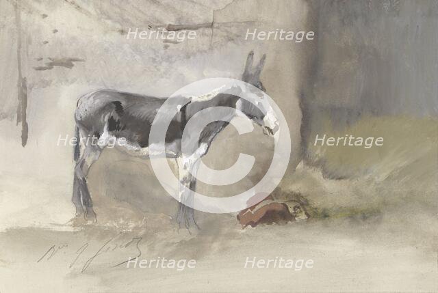 Donkey in a stable, 1856-1882. Creator: Jules baron Finot.